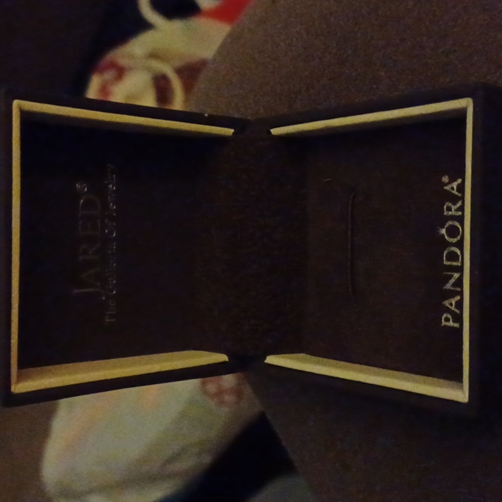 Pandora jewelry gift box  from JARED
